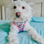 Dog Two Piece Bundle - Hello Kitty® & Friends Flower Festival