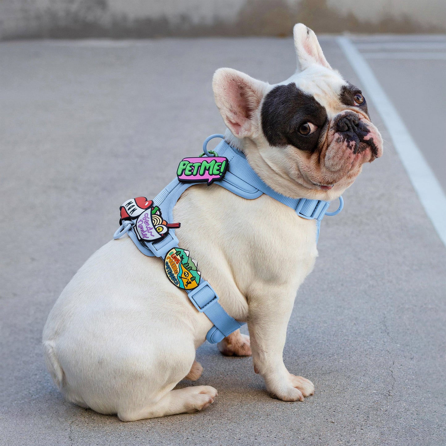 Send Noods Jiby Dog Charm