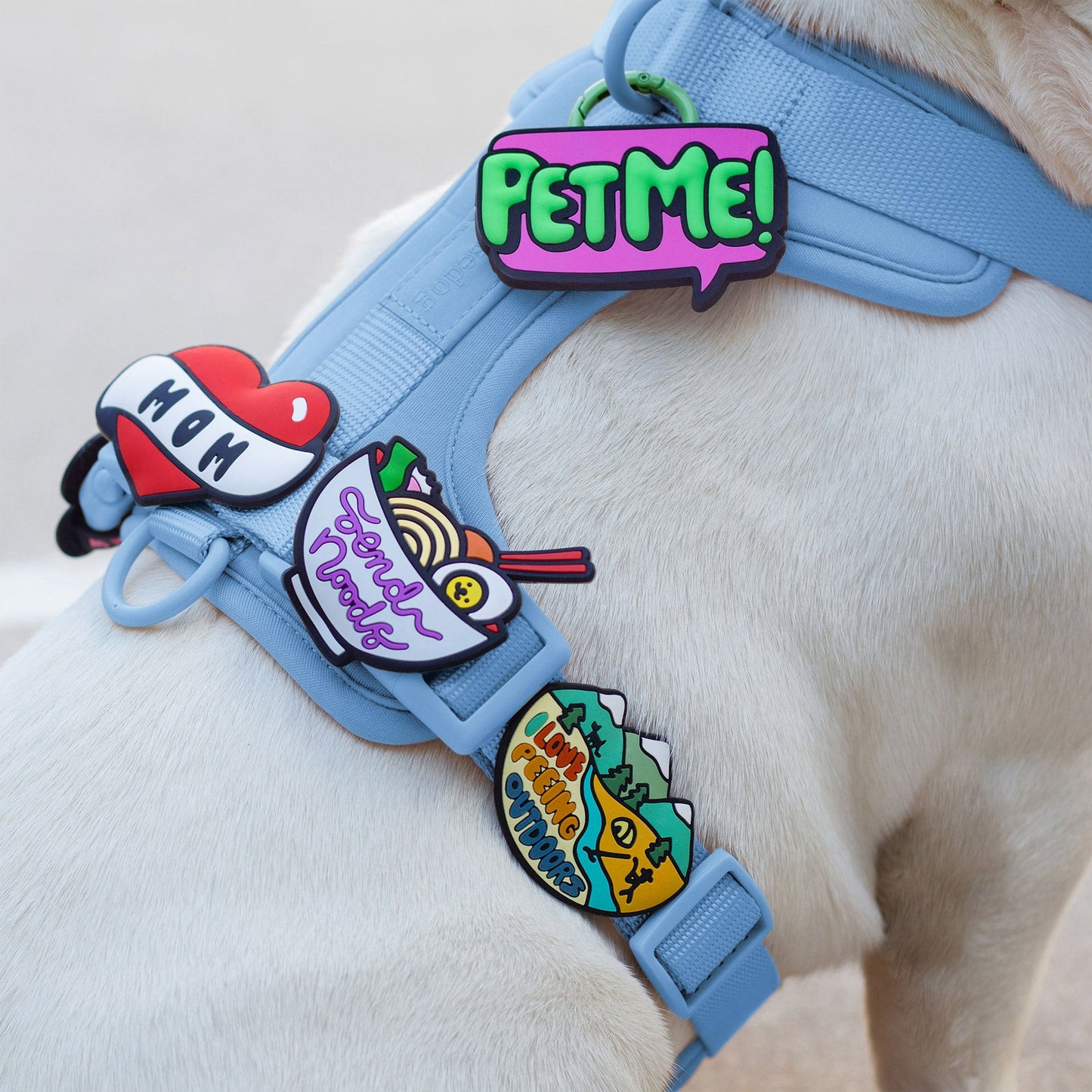 Peeing Outdoors Jiby Dog Charm