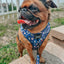 Dog Adjustable Harness - Spellbound
