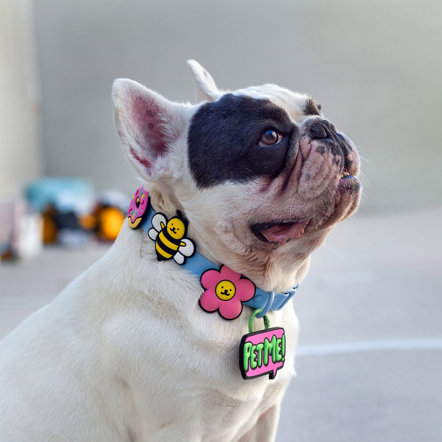 Daisy Pink Jiby Dog Charm