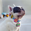 Pet Me Jiby Dog Charm