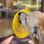 Sun n' Sea eMat - Enrichment Lick Mat For Dogs and Cats - With Suction Cups - Beach Design | USA Made