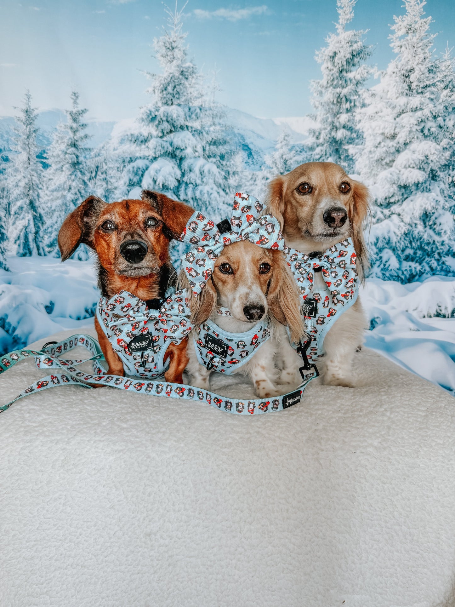 Dog Adjustable Harness - Winter Waddleland