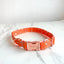Fall Stars Collar
