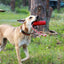 USA-K9 Firecracker Floating Training Dummy | K9 Handler Reward Toy | Red | USA Made