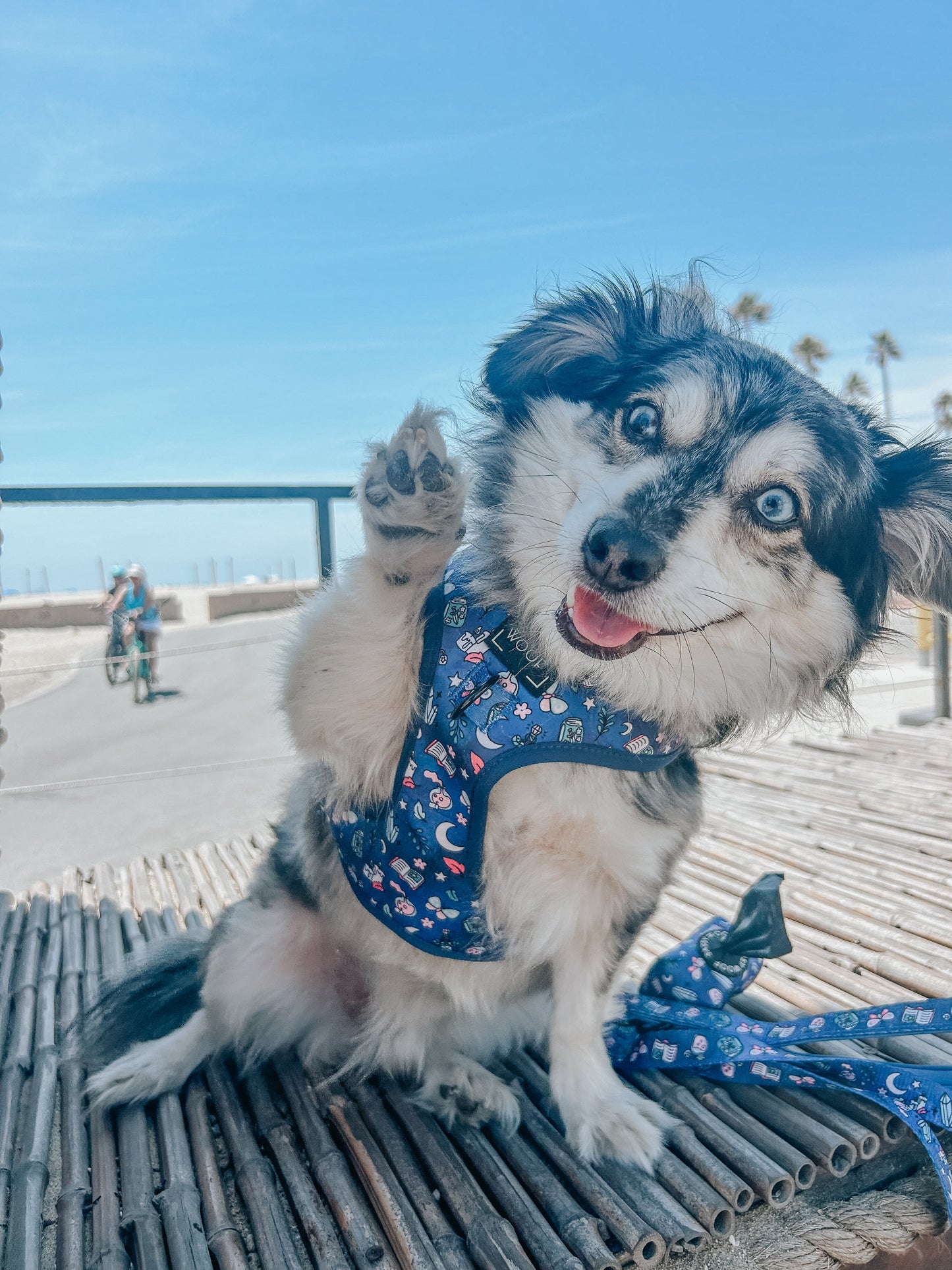 Dog Adjustable Harness - Spellbound