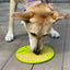 Tree of Life eMat - Enrichment Lick Mat For Dogs and Cats - With Suction Cups | Tree Design | USA Made