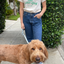 Thank You For Letting Me Pet Your Dog Tee