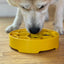 Honeycomb eBowl Deep Slow Feeder Dog Bowl for Enrichment | USA Made