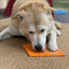 Zombie eMat - Enrichment Lick Mat for Dogs and Cats | Halloween Skull Design | SodaPup