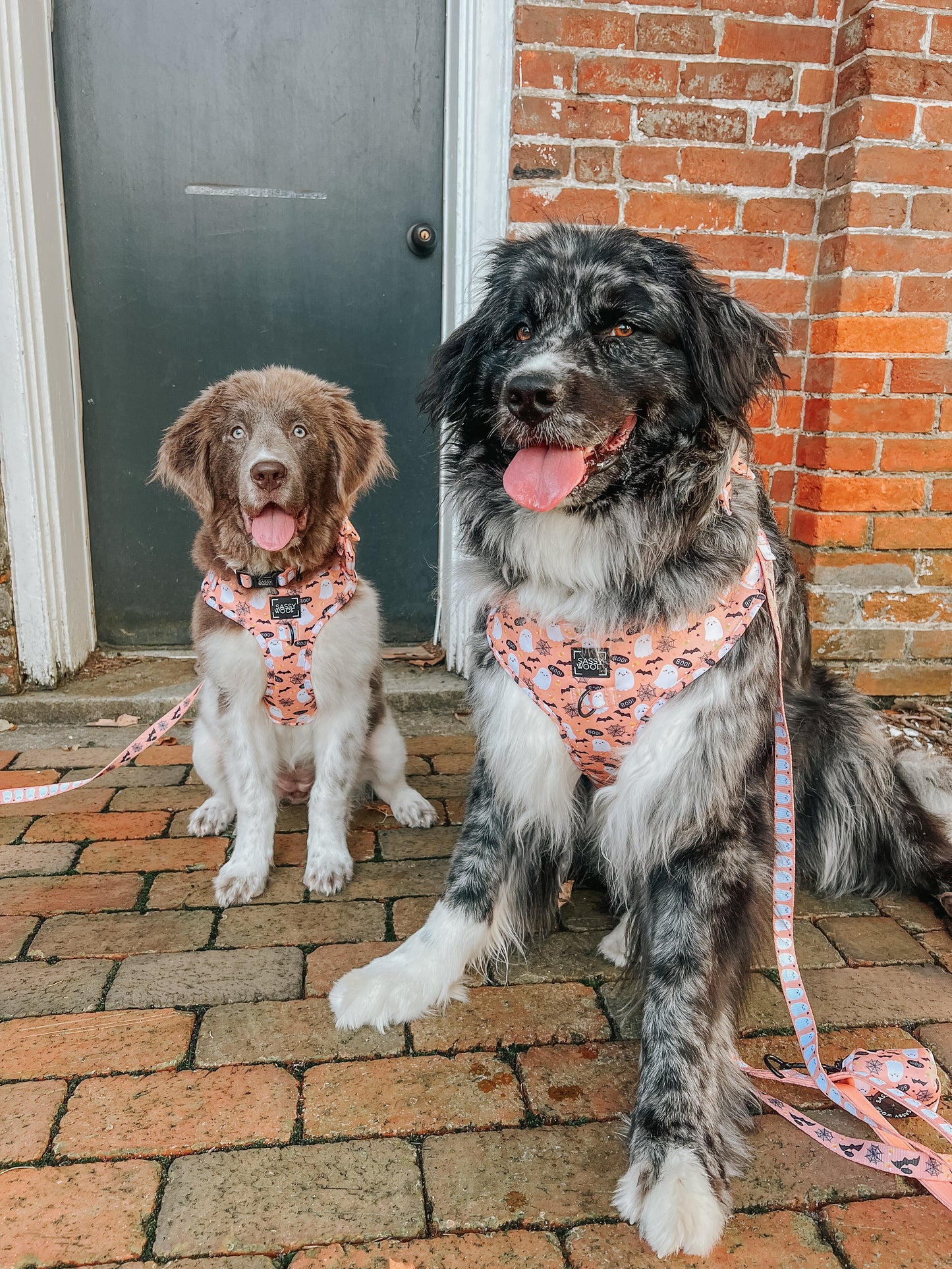 Dog Adjustable Harness - Squad Ghouls