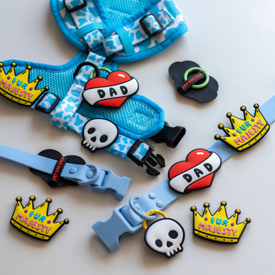 Skull Jiby Dog Charm
