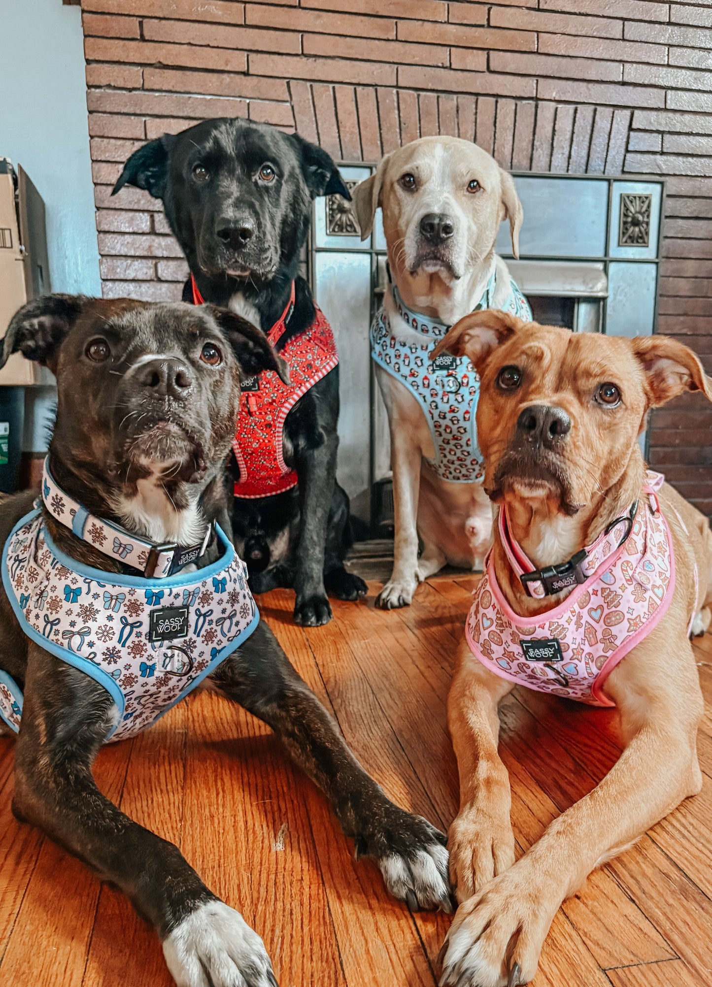 Dog Adjustable Harness - Dough My Goodness