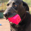 Surf's Up! Retro Van Dog Toy - Durable Chew Toy for Large Dogs | USA Made