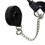 Derby Originals Rolled Leather Cattle Show Halter – Adjustable Fit with 48" Lead and 14" Chain, Small/Medium/Large – 1-Year Warranty