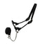 Derby Originals Rolled Leather Cattle Show Halter – Adjustable Fit with 48" Lead and 14" Chain, Small/Medium/Large – 1-Year Warranty