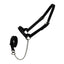 Derby Originals Premium Fancy Stitch Flat Leather Cattle Show Halter – Adjustable Fit with 48" Lead and 14" Chain, Small/Medium/Large – 1-Year Warranty