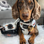 Dog Rope Leash - Ombre Black