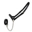 Derby Originals New and Improved Premium Show Spotted Flat Leather Cattle Show Halter, Small/Medium/Large, Adjustable Fit with 48" Lead and 19.5" Chain, Elegant Show Spots, 1-Year Warranty