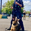 USA-K9 Grenade Rubber Dog Chew Toy | K9 Handler Reward Toy | Blue | USA Made