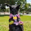 Fur Majesty Jiby Dog Charm