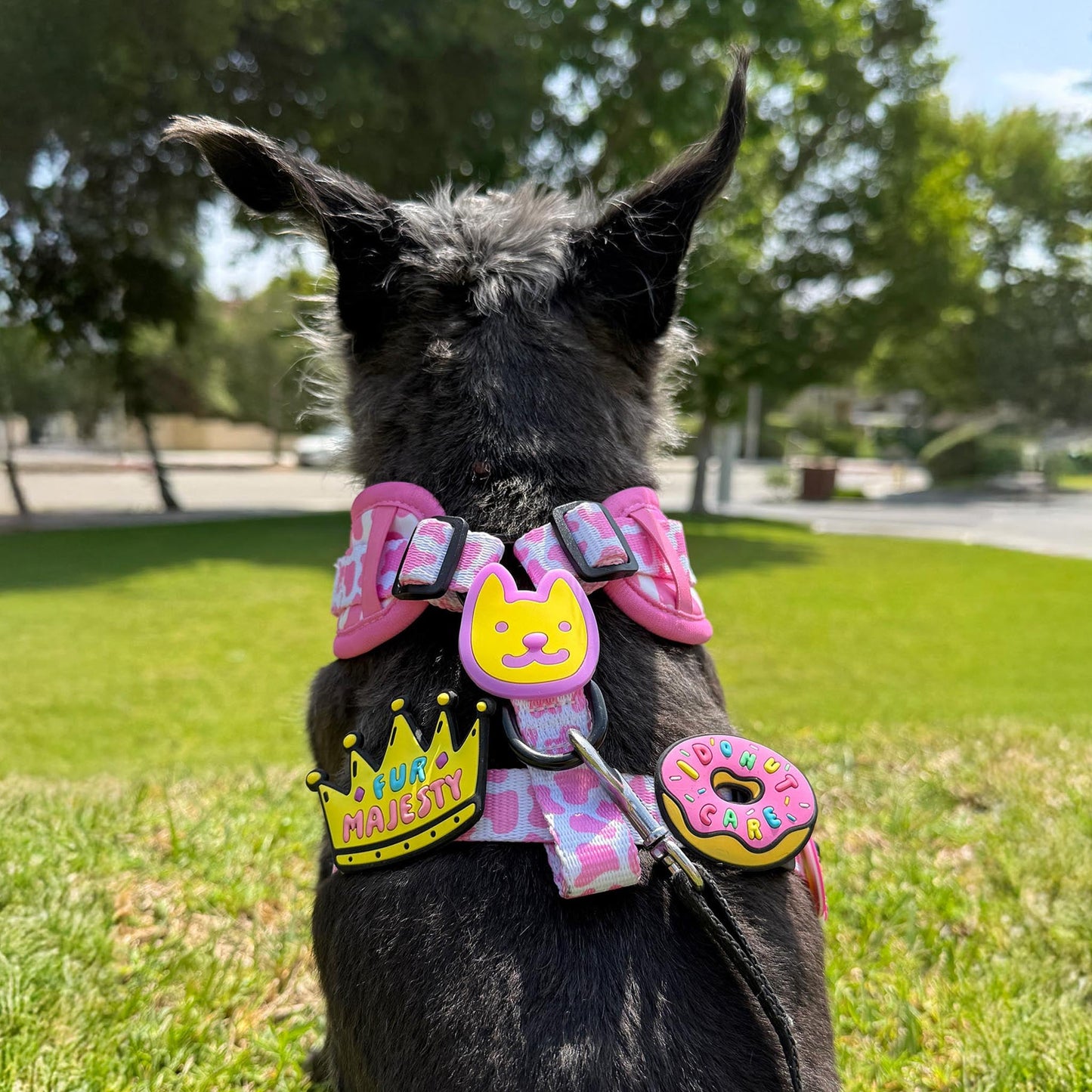 Fur Majesty Jiby Dog Charm