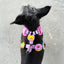 I Donut Care Pink Jiby Dog Charm