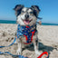 Dog Leash - MLB™ x Peanuts™ New York Yankees™