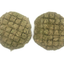 Raw, Freeze-Dried 25/25/50 Patties for Bearded Dragons and Blue Tongued Skinks