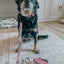 Dog Leash - Hello Kitty® & Friends Flower Festival