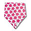 Petal Pop Dog Bandana