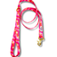Groovy Bloom Leash