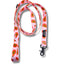 Papaya Punch Leash