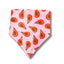 Papaya Punch Dog Bandana