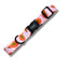 Papaya Punch Collar