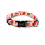 Papaya Punch Collar