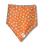 Desert Cross Dog Bandana
