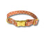 Desert Cross Collar