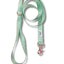 White Sage Leash