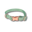 White Sage Collar