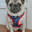 Dog Adjustable Harness - MLB™ x Peanuts™ New York Yankees™