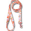 Retro Rainbow Leash
