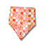 Retro Rainbow Dog Bandana