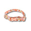 Retro Rainbow Collar
