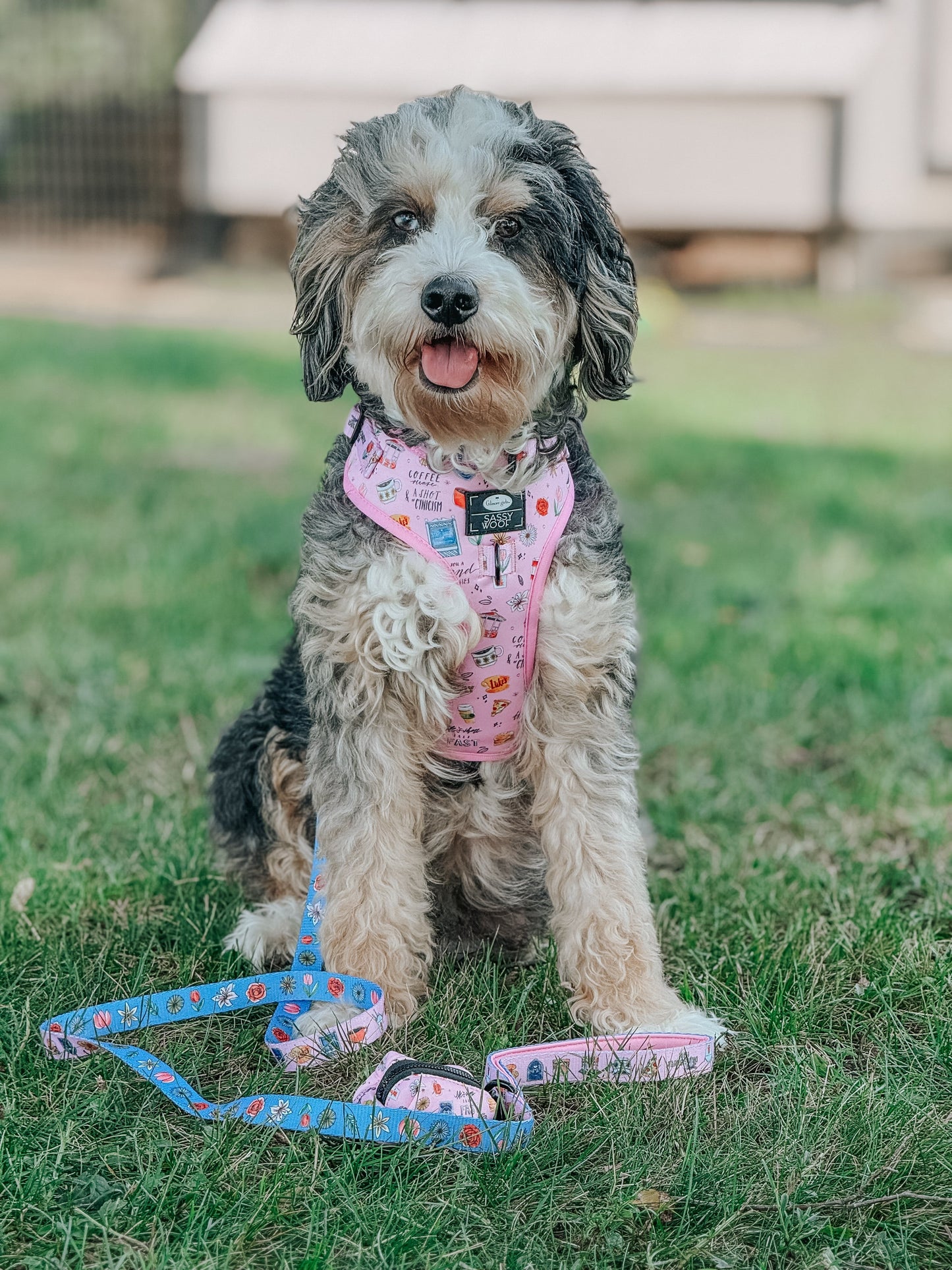 Dog Adjustable Harness - Gilmore Girls™