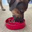 Santa Christmas eBowl Deep Slow Feeder Dog Bowl for Enrichment | USA Made