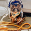 Dog Rope Leash - Lemon Drop