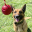 USA-K9 Stars and Stripes Rubber Dog Toy | K9 Handler Reward Toy | Red | USA Made
