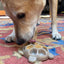 Turtle Nylon Chew Toy - Ultra-Durable Enrichment Toy for Power Chewers USA